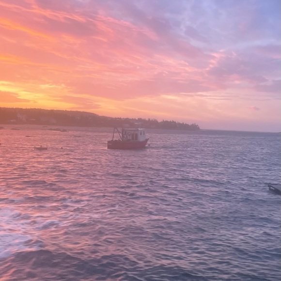 Meet your Posher, Robyn - Picture 1 of 1